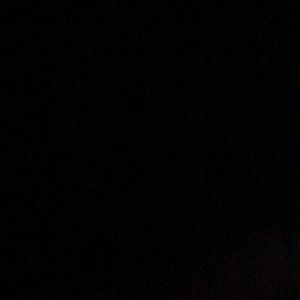 Meet your Posher, Ray